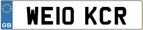 Trailer License Plate
